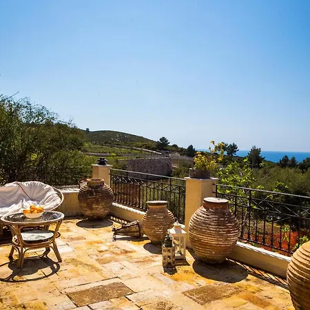 Paradise's Nest Vila *